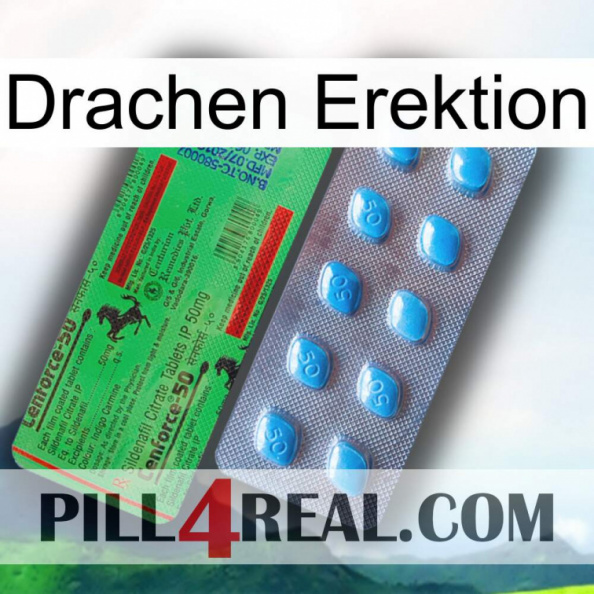 Dragon Erection new03